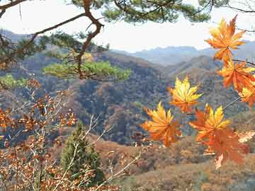 苹果手机种子下载